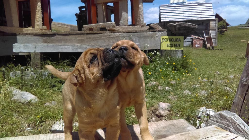 Etno Village Katun Žabljak エクステリア 写真
