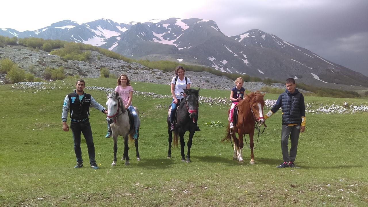 Etno Village Katun Žabljak エクステリア 写真